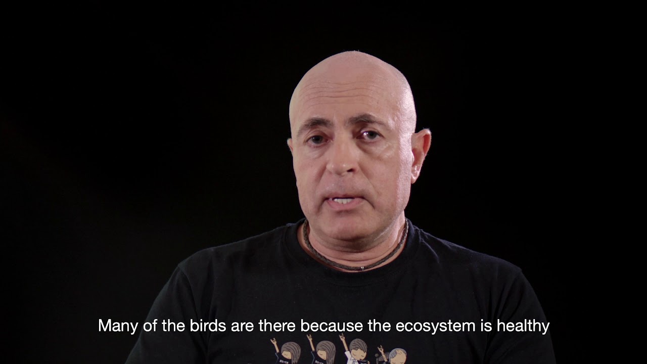 How this innovative Spanish fish farm is helping to regenerate the environment