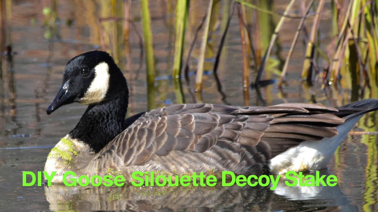 DIY Goose Shell Decoy Stakes