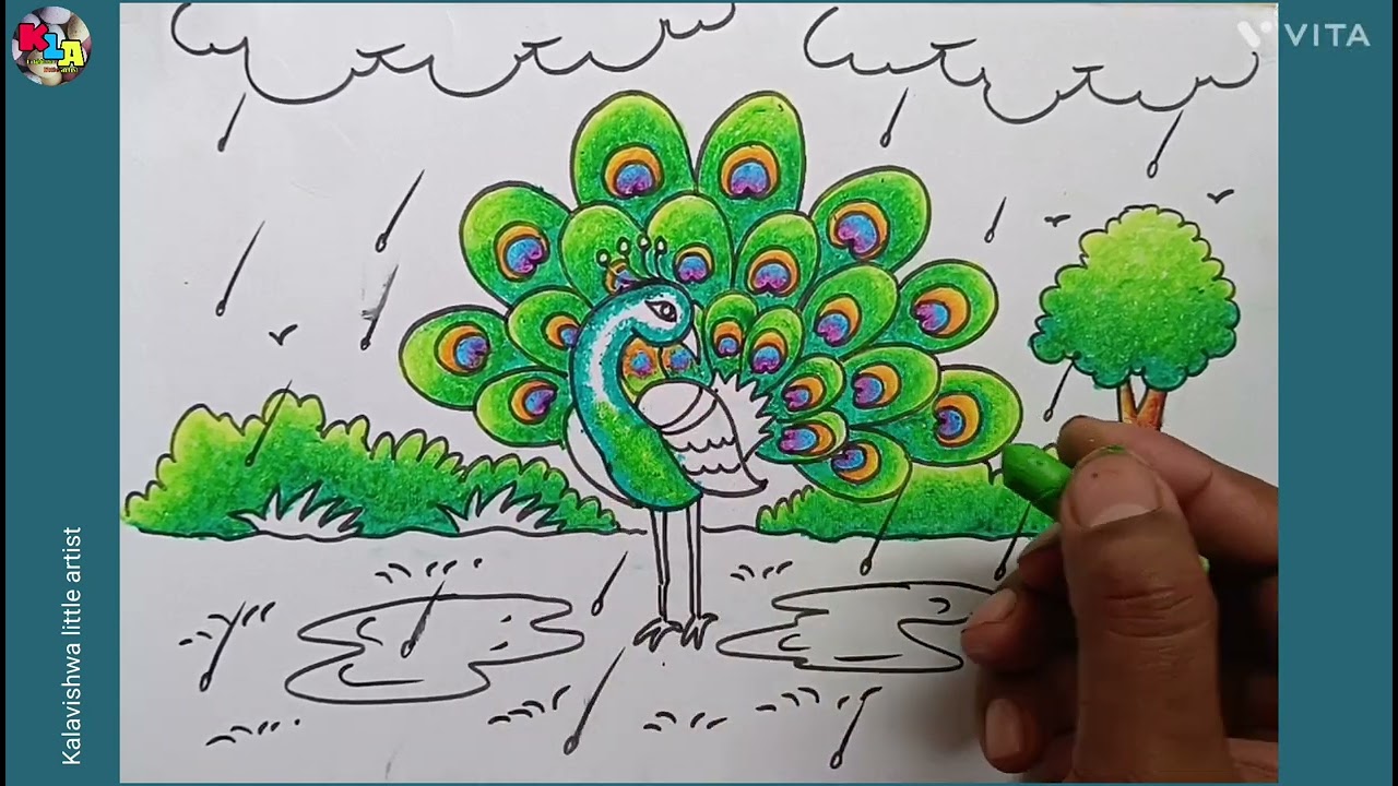 Rainy season peacock drawing/peacock drawing/dancing peacock drawing/