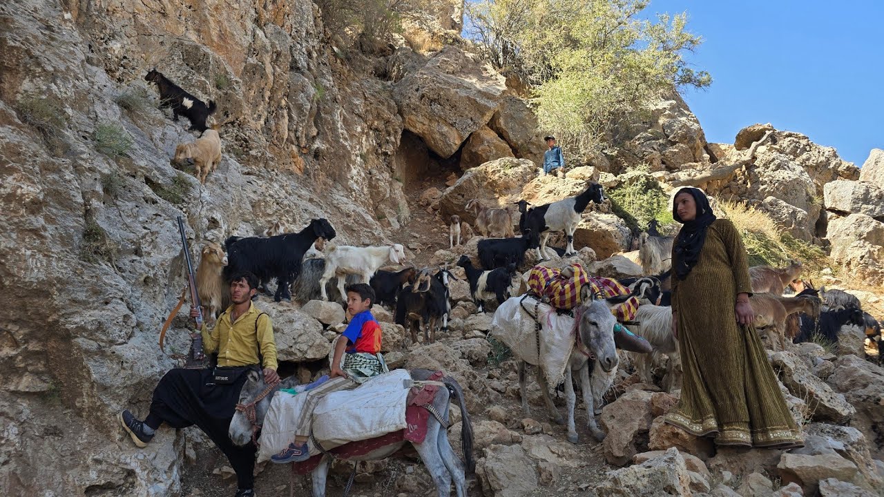 Nomadic Migration in the Zagros | Authentic Nomadic Life and Overnight Mountain Camping