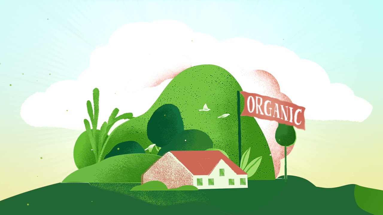 About us | Yarrah Organic Pet Food