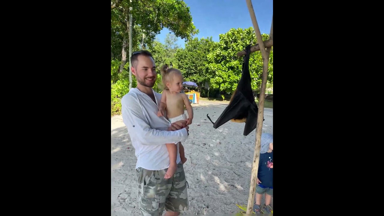 Мое путешествие на Сейшелы в 1 год и 7 месяцев (My trip to the Seychelles at 1 year and 7 months)