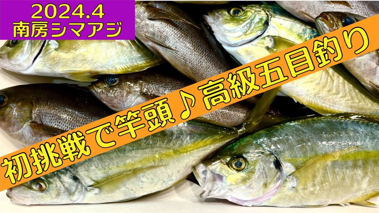 南房館山シマアジ！高級魚揃いの五目釣りに初挑戦(´∀｀)