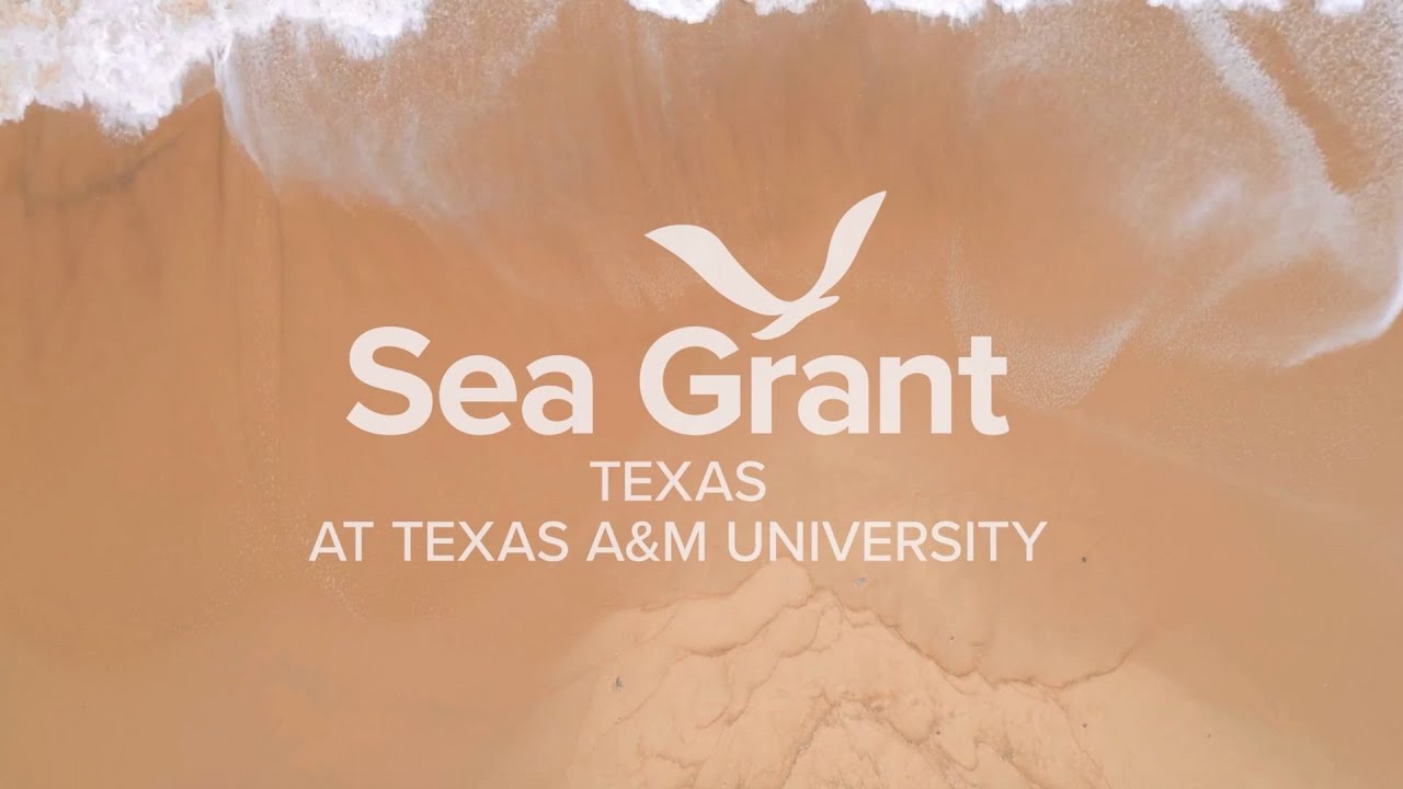 Texas Sea Grant-Community Engaged Internship Program Overview