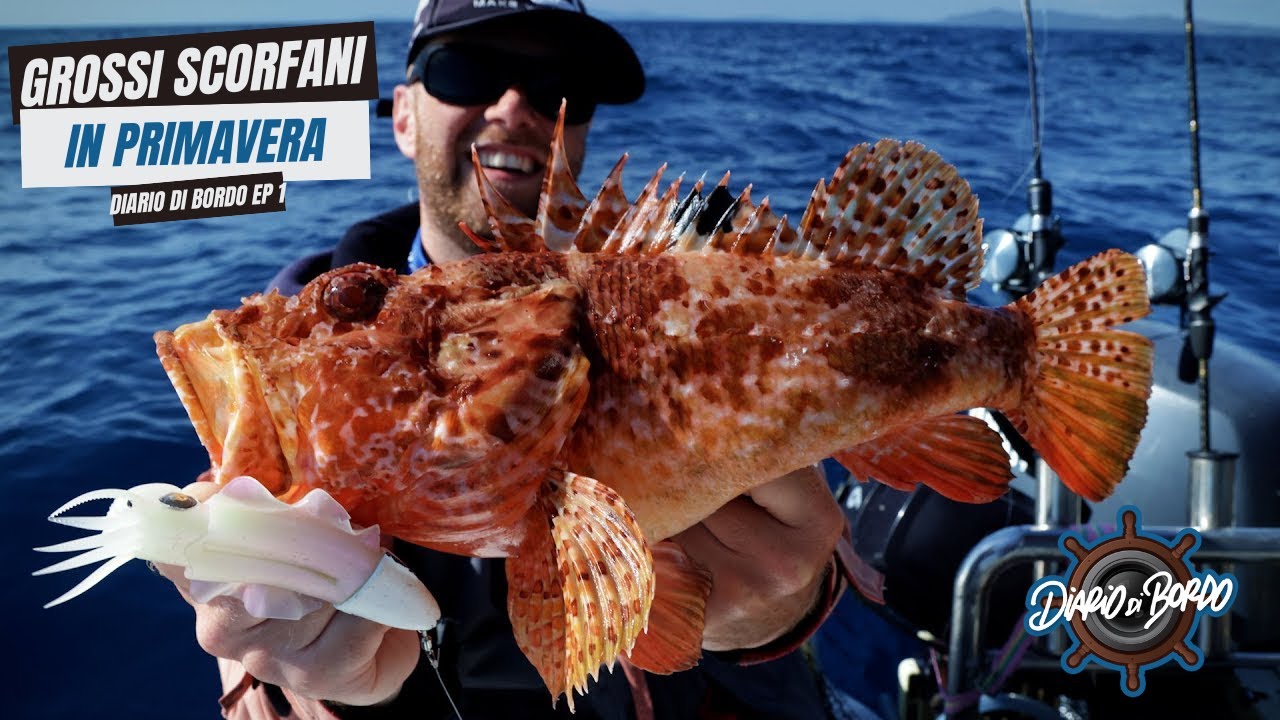 Grossi Scorfani In Primavera - Diario Di Bordo EP. 1