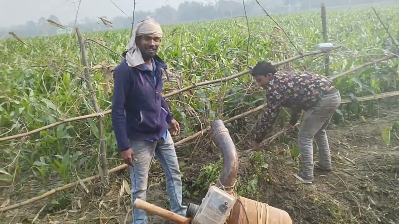 Khet mein Pani lagaya ja raha hai