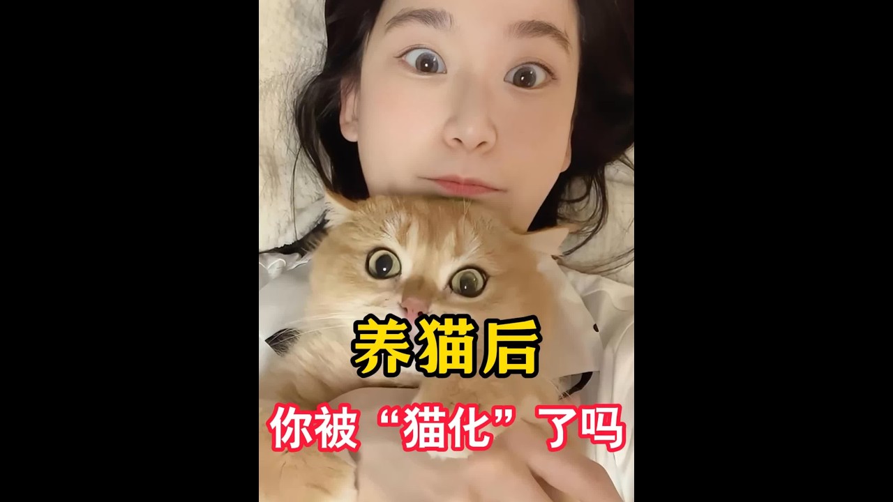养猫后你被“猫化”了吗？ #新手养猫 #养猫经验分享 #科学养宠攻略 #养狗知识 #狗狗