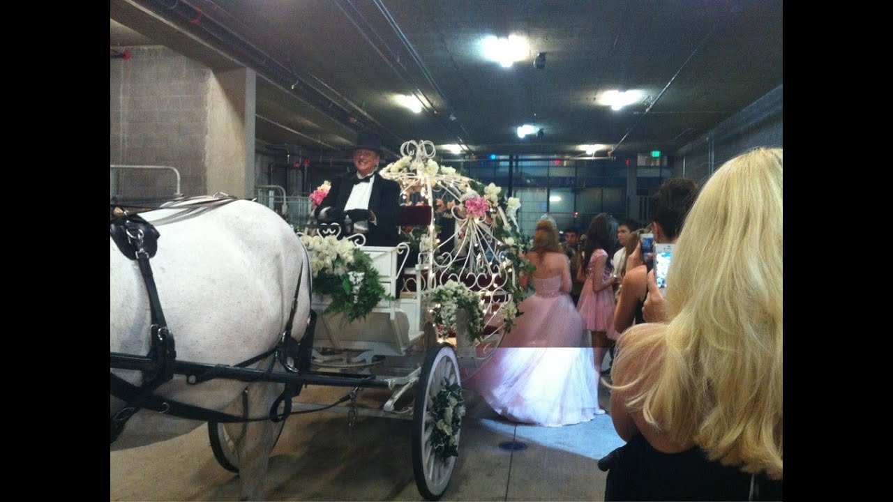 Bella Thorne's Quinceanera: Her Friends Record Personal Messages!