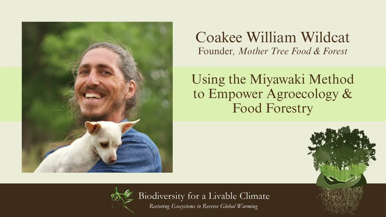 Using the Miyawaki Method to Empower Agroecology and Food Forestry