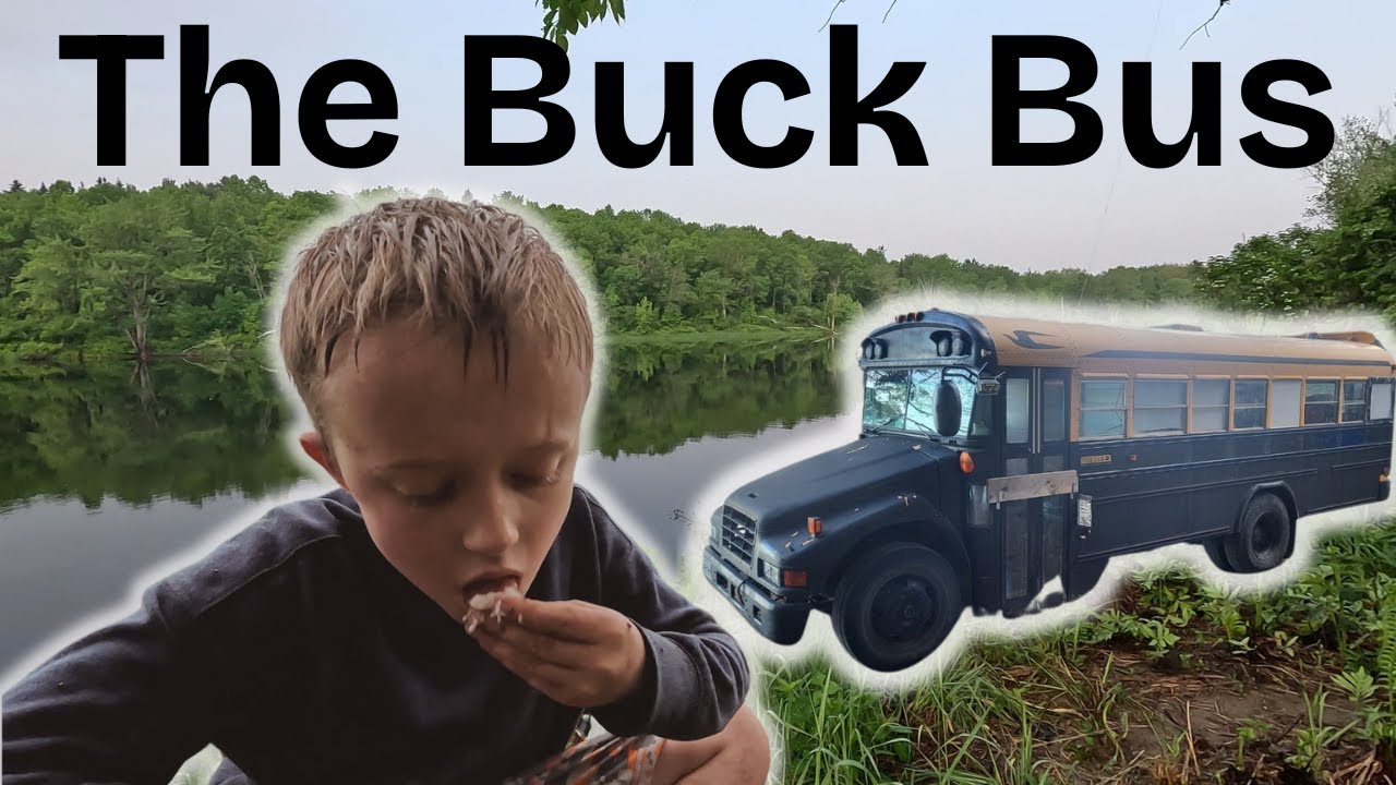First Night Adventure at Our Remote Maine River Campsite | School Bus Camp & Bass Catch and Cook