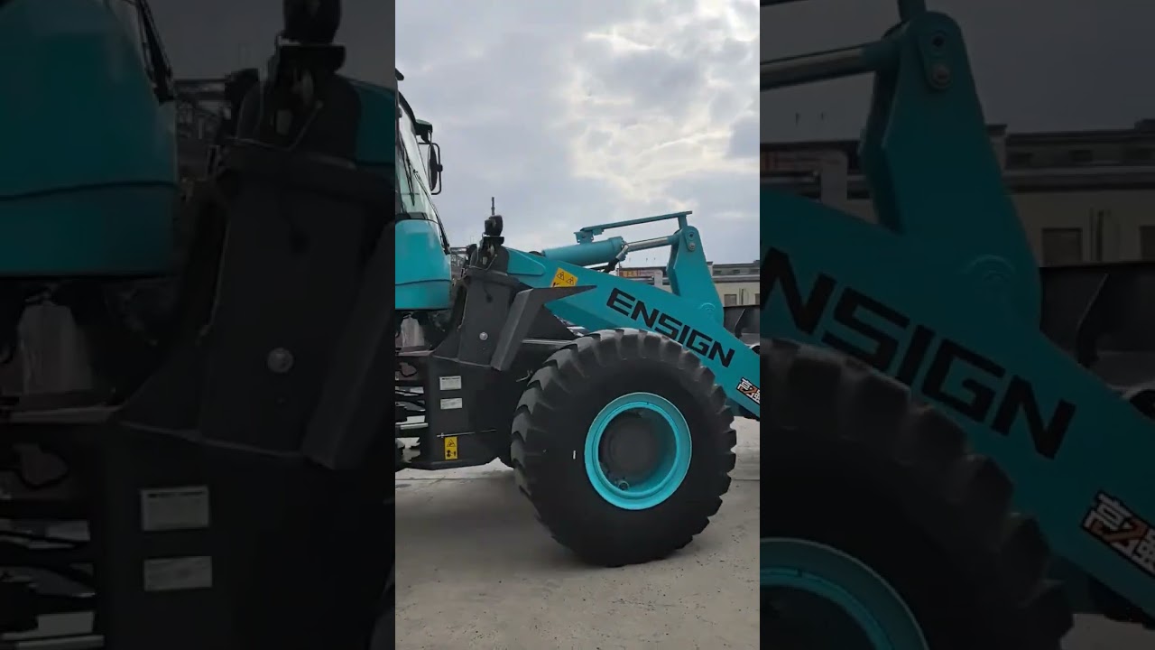 ENSIGN (hybrid/new evolution)