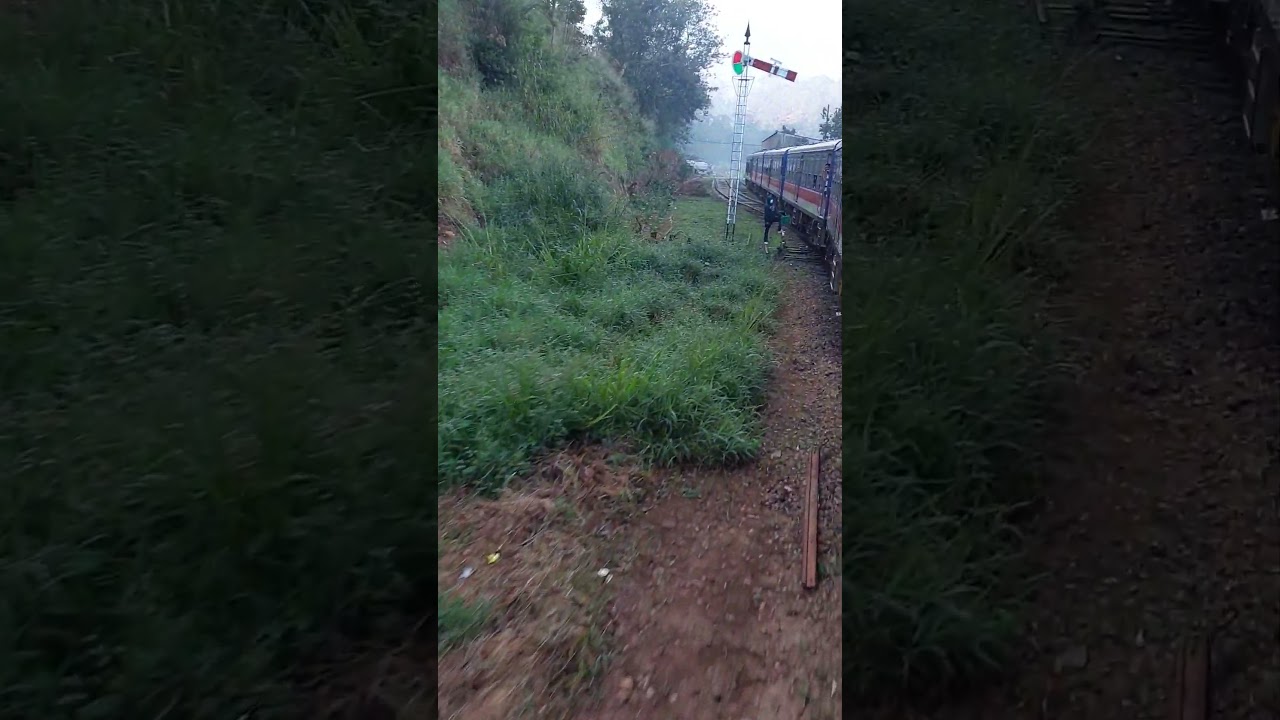 morning Train Ride Joy #subscribe #viral #srilanka #trending #reels #shortsvideo