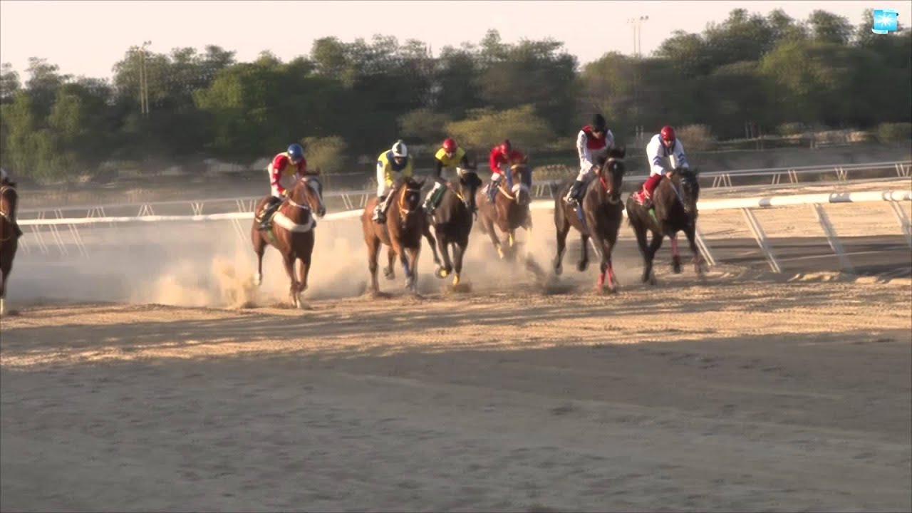 تغطية صحيفة بث الواحة لسباق الخيل بميدان فروسية الجبيل 1436
