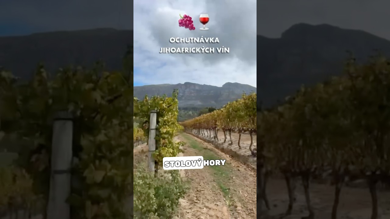 Vino Afriky 🍇🍷 