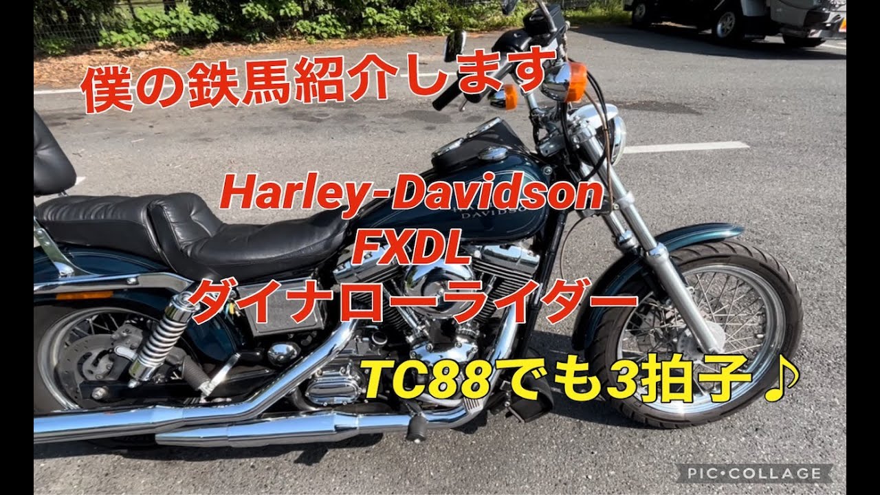 僕の愛車を紹介します。ハーレーダビッドソン　ダイナローライダー　Harley davidson fxdl 2001 TC88 TWIN CAM 88 ツインテックモジュールで3拍子セッティング