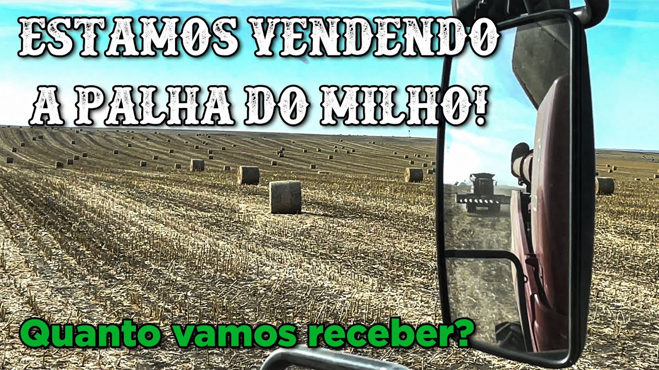VENDENDO A PALHA DO MILHO - FAZENDO DINHEIRO EXTRA