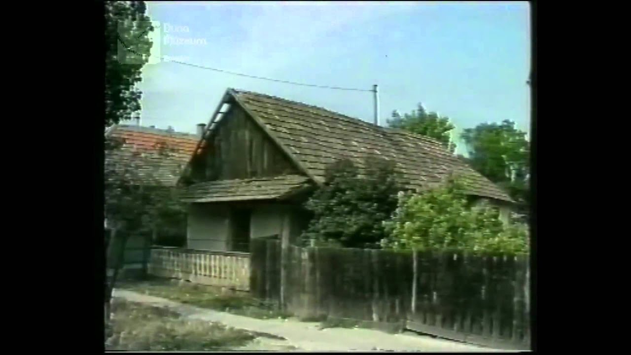 A Tisza-tó