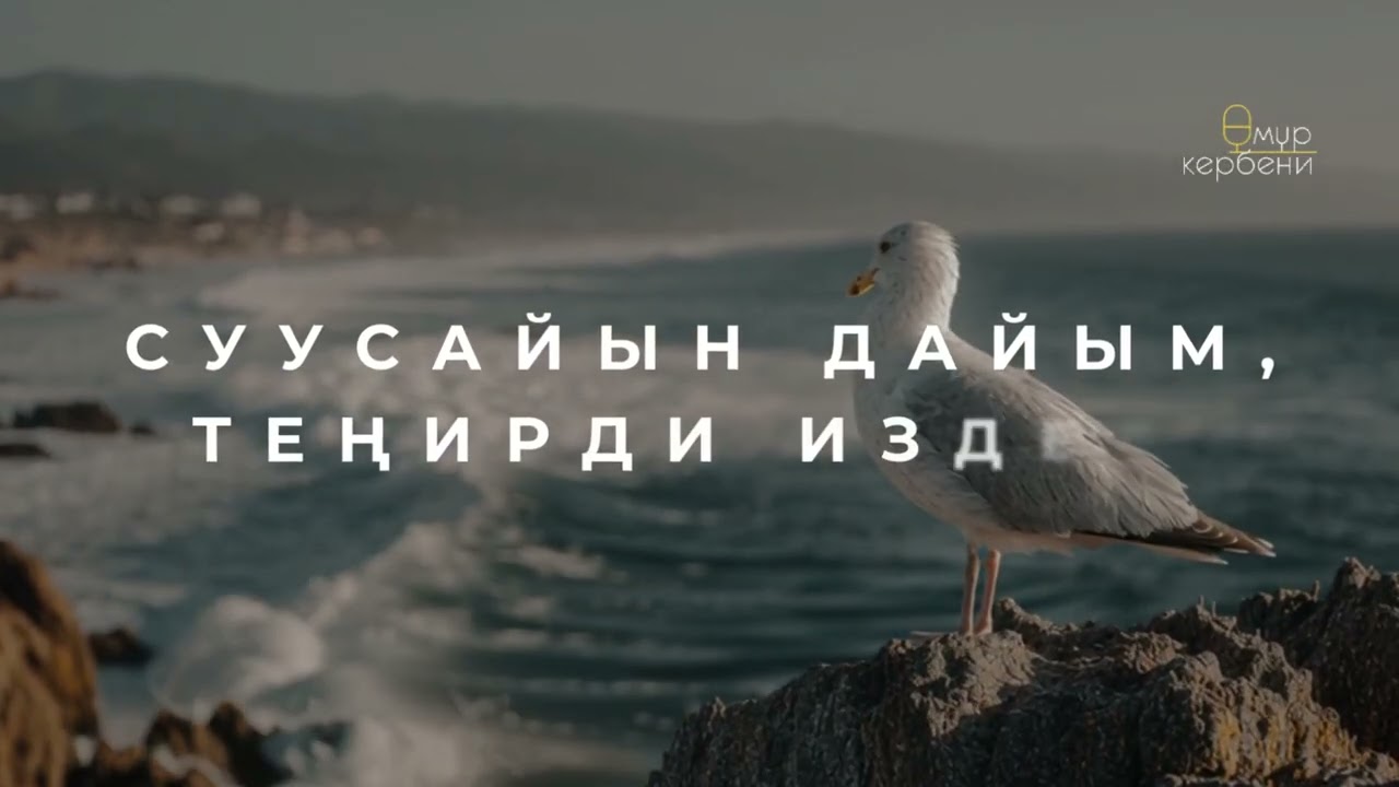 Даңктоо ыры | Теңирдин Руху, жан дүйнөмө кел