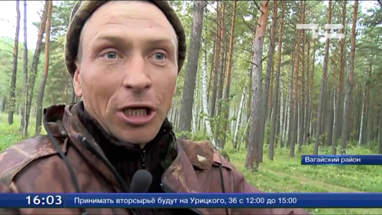 В Вагайском районе появились свои 