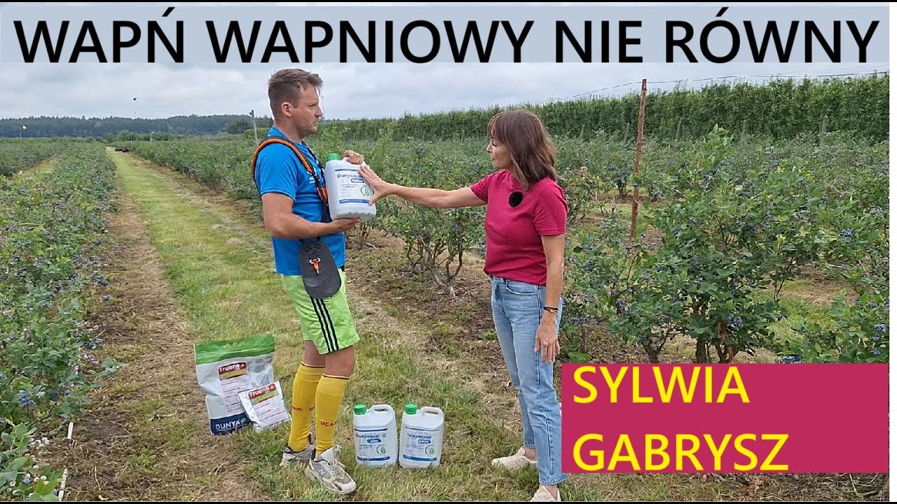 Nawożenie Borówki - Dziś WAPŃ i Nie TYLKO !! - Wizyta Sylwii Gabrysz