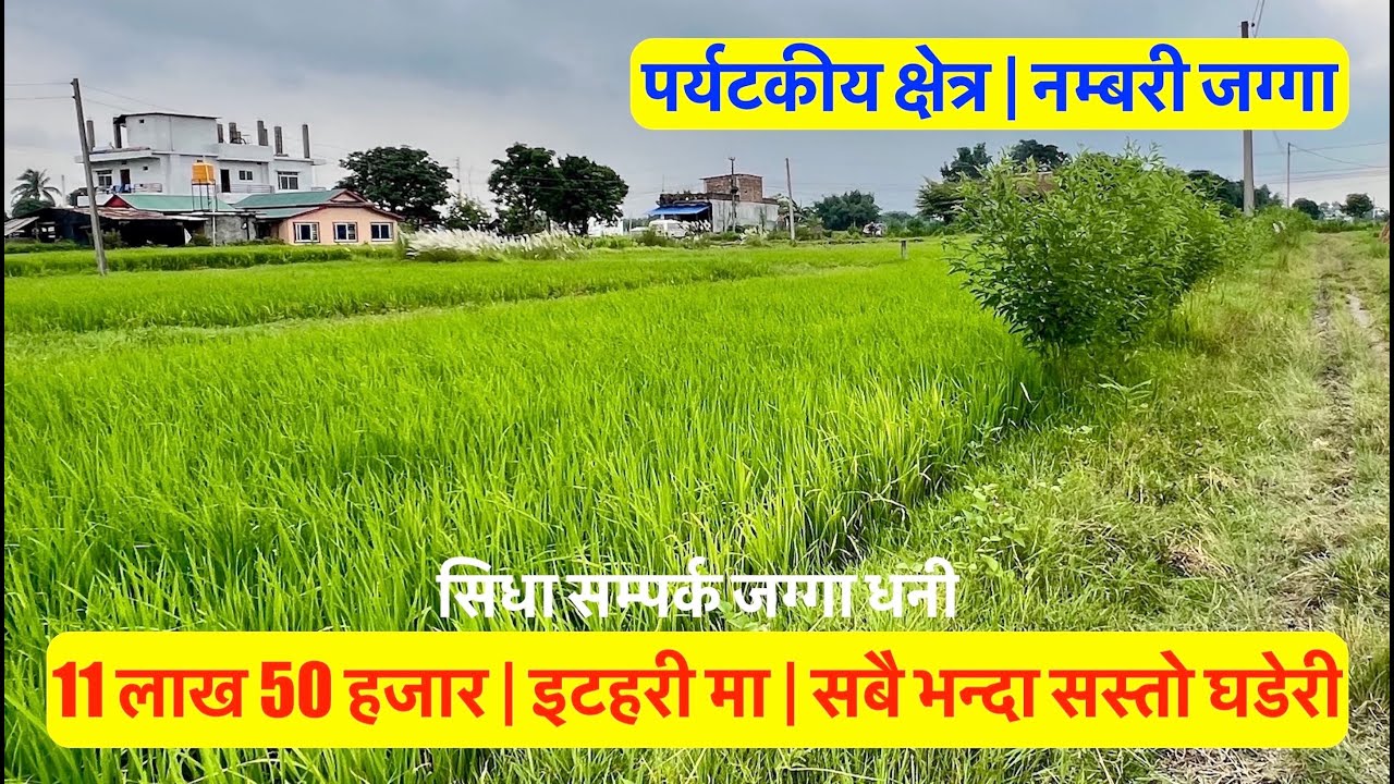 11 Lakh 50 Hajar | itahari ma | Sasto Ghaderi | Cheap land for sale in itahari nepal #property