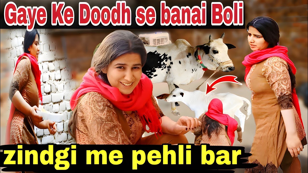 Gaye Ke Pehle Doodh Ki banai Khaas Boli | MeRi Shaam Ki routine | Rabia Simple Life