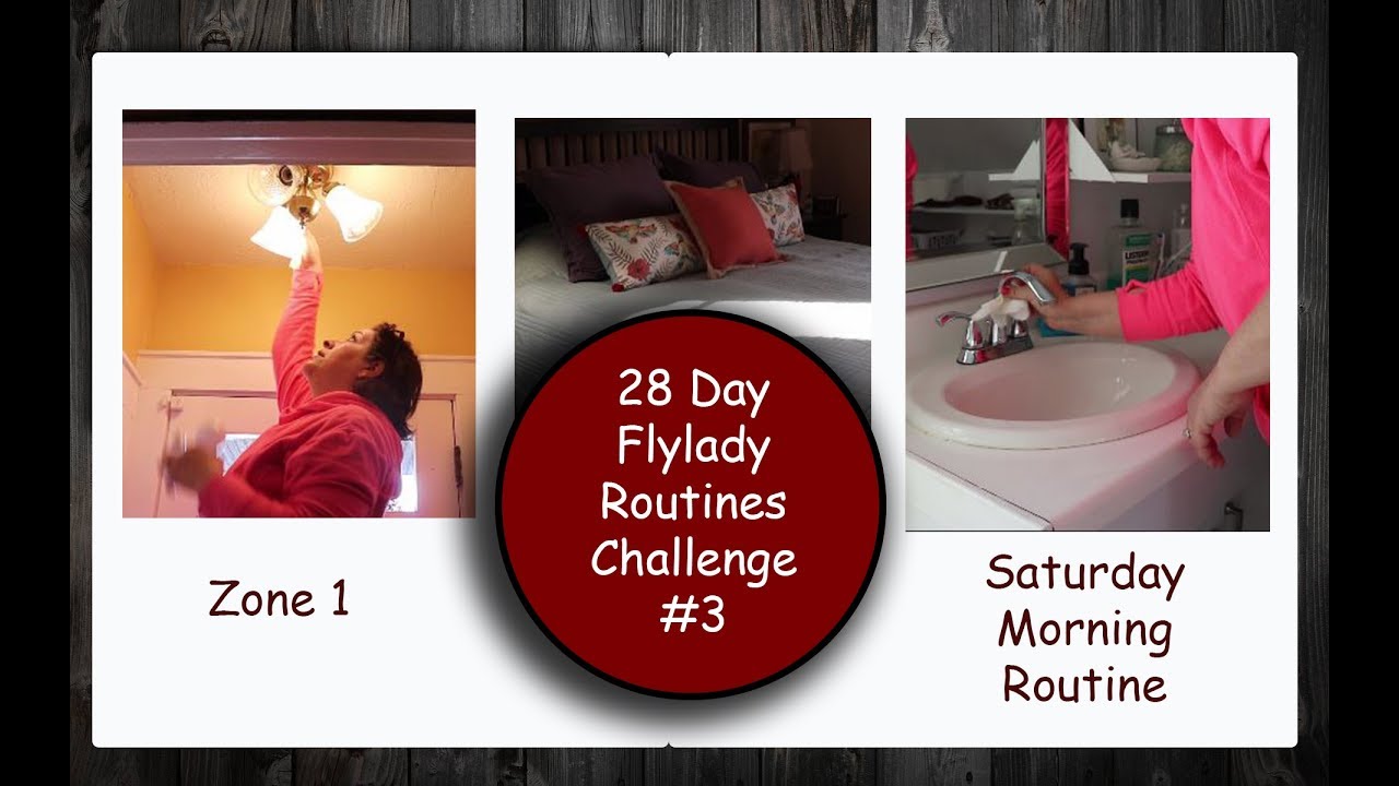 28-Day FlyLady Routines Challenge || 02/03/18 || Day 3 ||