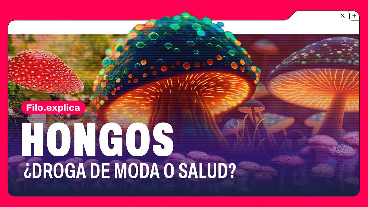 MICRODOSIS DE HONGOS: ¿MODA O SALUD? | Filo.Explica