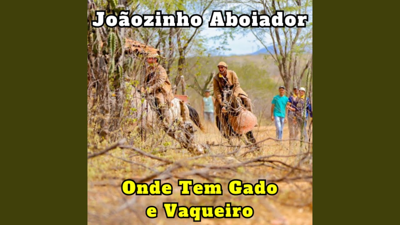 Adeus Minha Pedra Preta