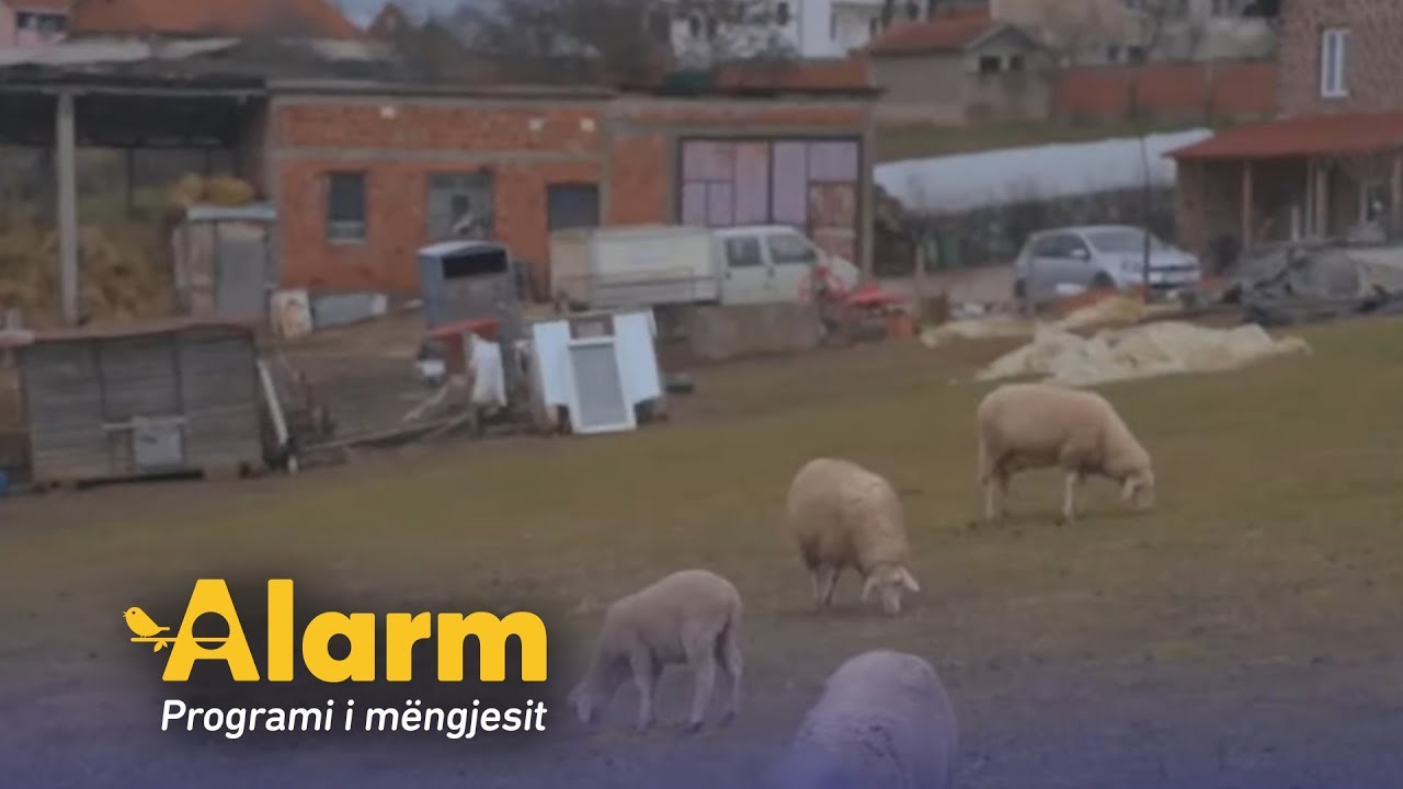 Fshati Abri, i njohur për shumë oda me zë e kulla me emër