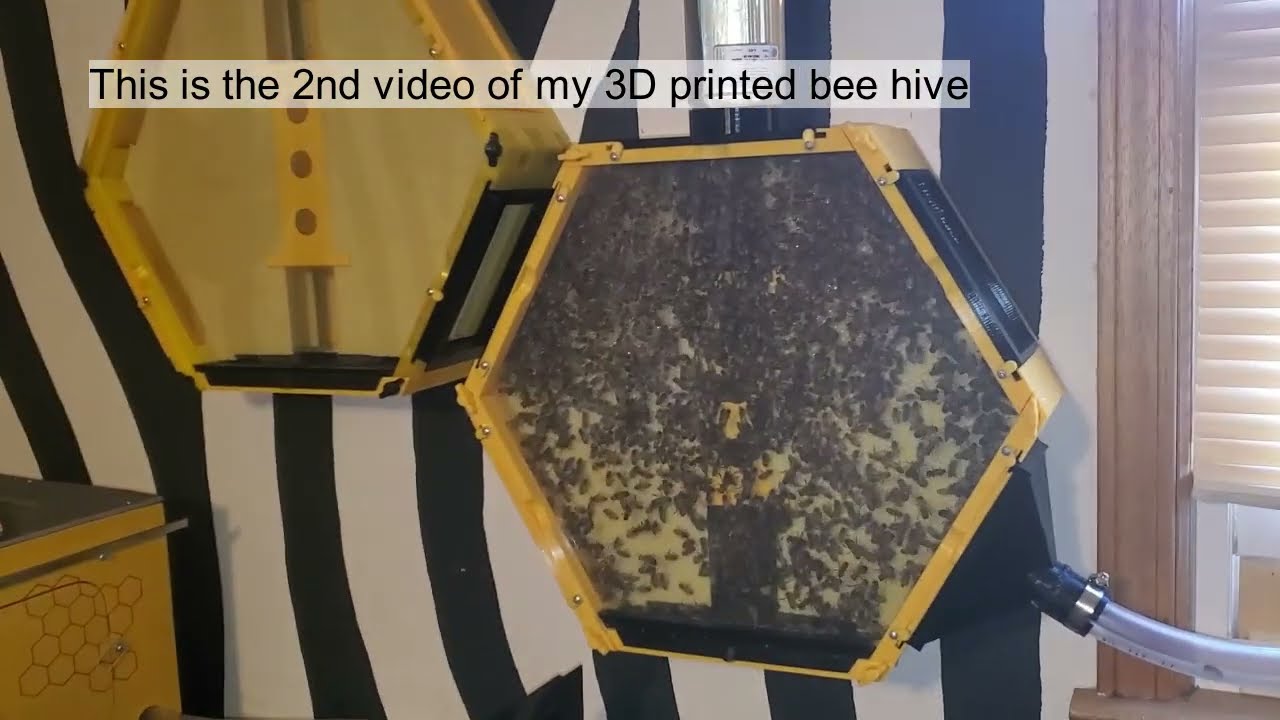 #2 3D Printed indoor bee hive