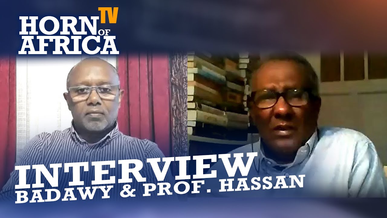 HoA TV / Amharic - Interview with Prof. Mohamed Hassan and Mohamed S. Badawy, Mar 04 2021
