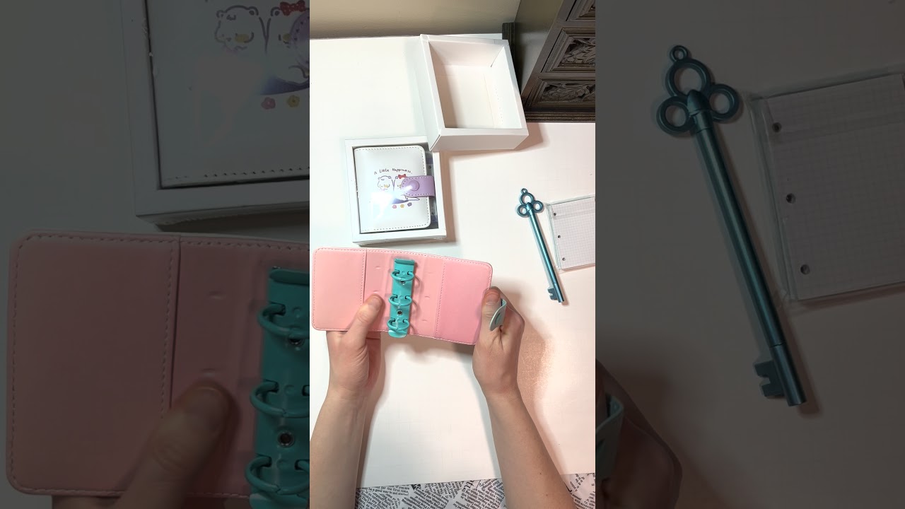 Tiny 3 Ring Binder Haul and Review