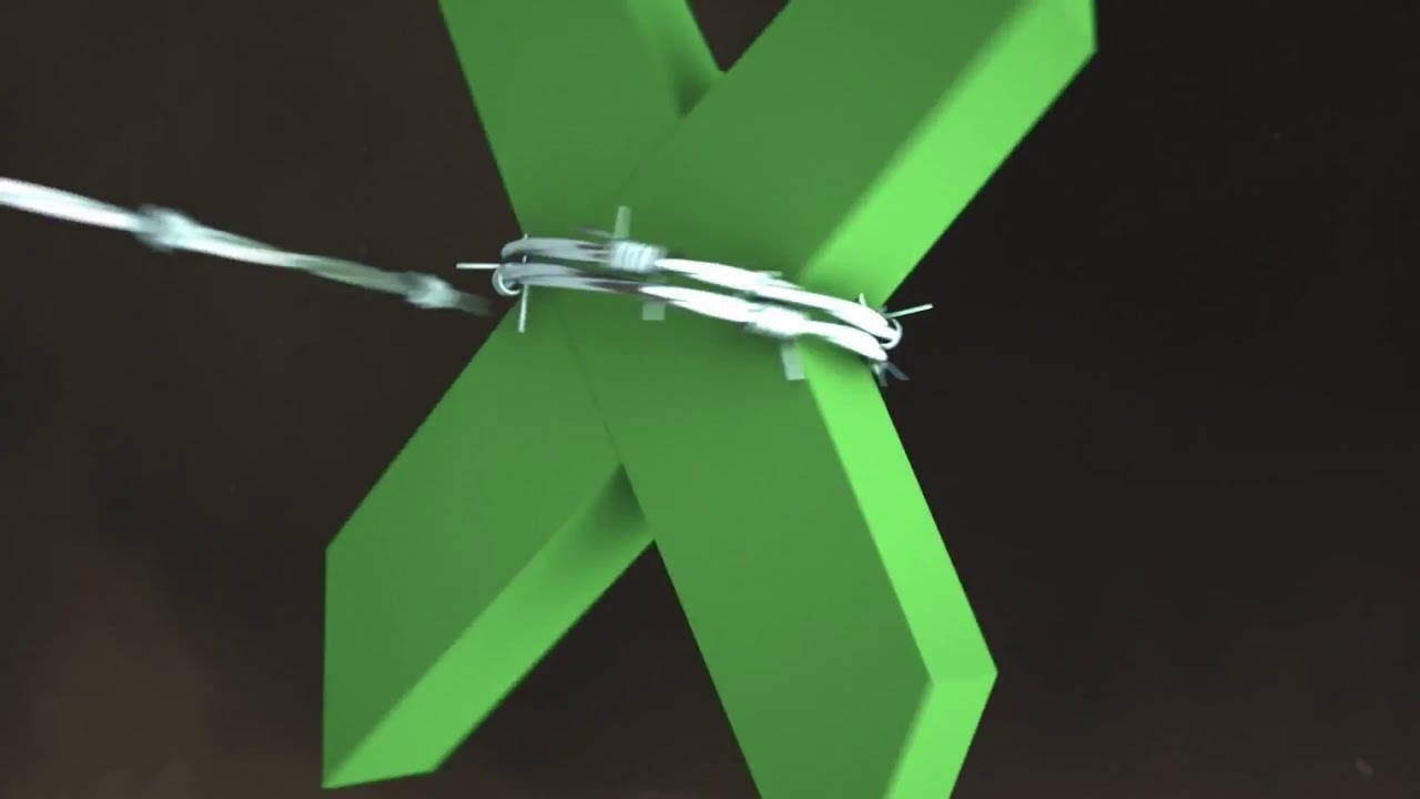 Parc de contention automatique bovin - P&acirc;tureVision