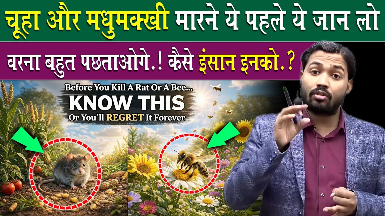 चूहा और मधुमक्खी मारने से पहले ये जान लो वरना बहुत पछताओगे