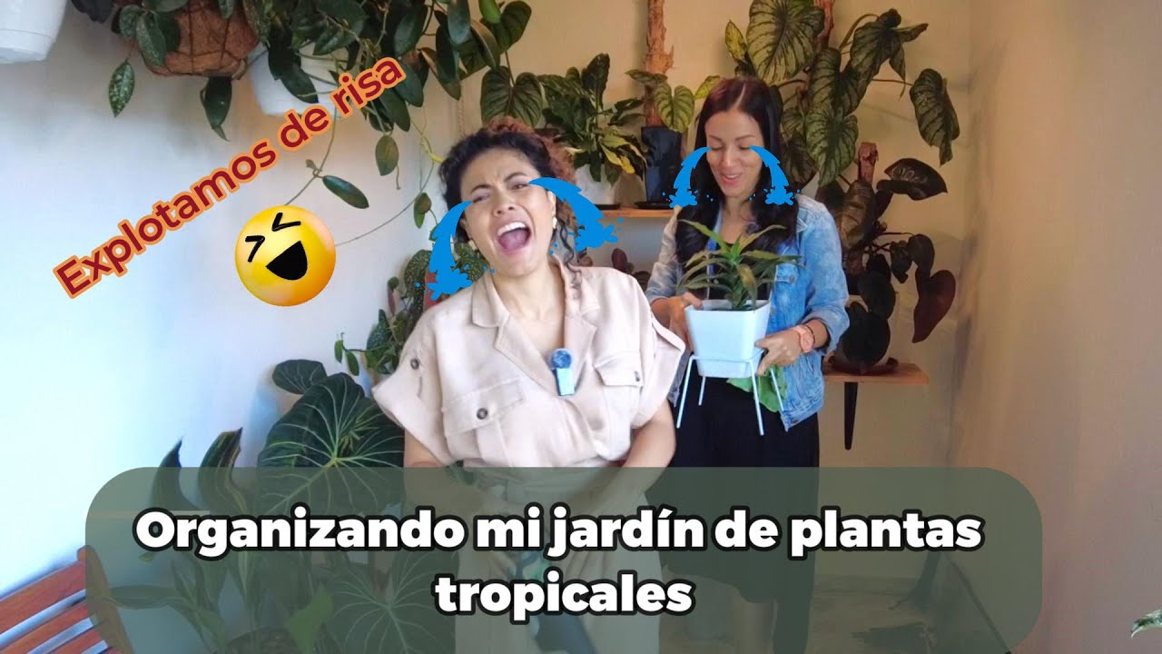 🤣😂👩‍🌾EXPLOTÉ DE RISA CON LA MANERA DE IDENTIFICAR LAS PLANTAS DE MI AMIGA😅🥳👧👩‍🌾