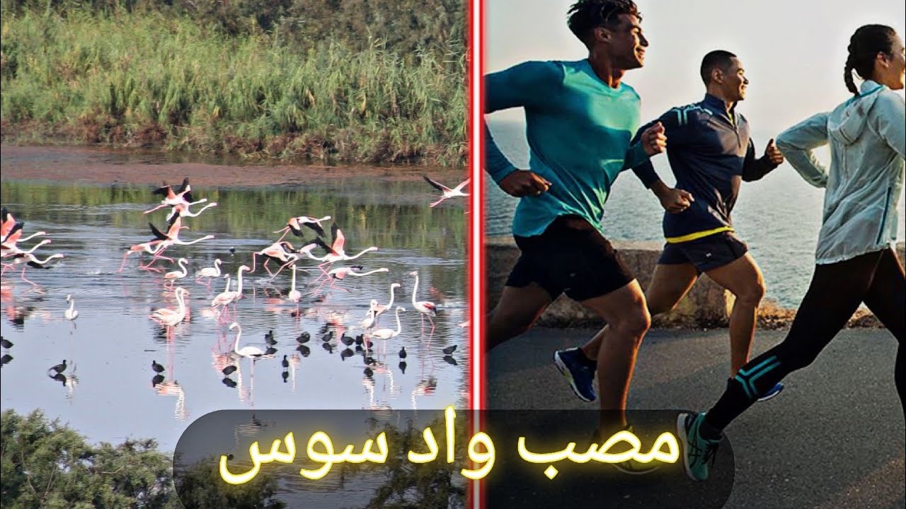 الرياضة والتغذية السليمة اساسيان عند اي انسان كبيرا او صغيرا لتجنب الامراض المزمنة والموت المبكر