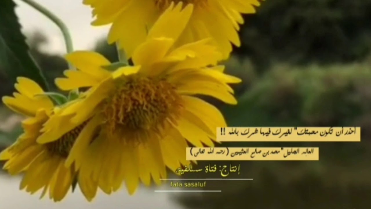 إبن عثيمين: أحذر من الشرك في المحبة ⚠️ ! .
