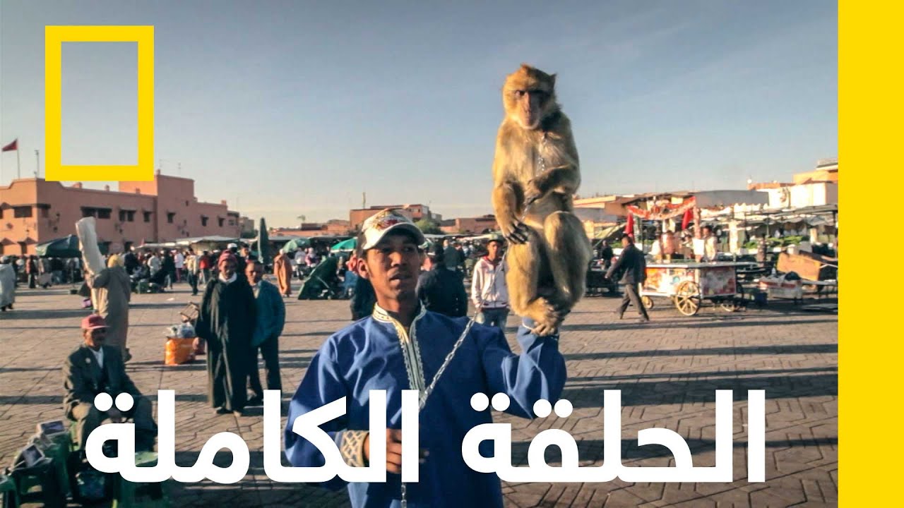 مراكش | مدينة الإحتيال | ناشونال جيوغرافيك أبوظبي