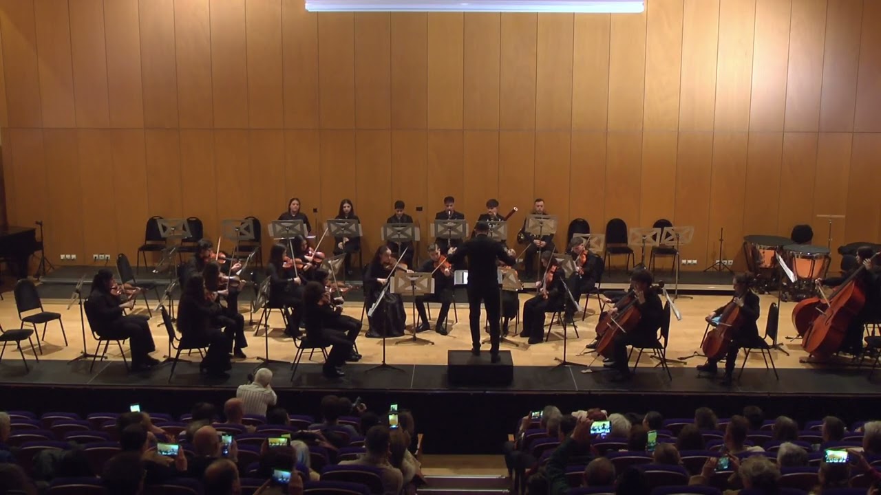 B. Bartok Dansuri populare romanesrti