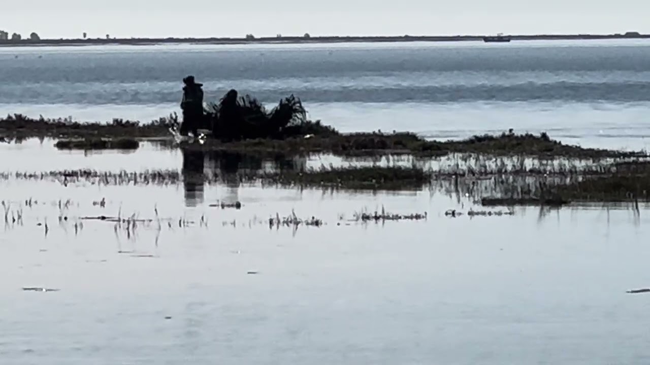 CAZADORES DE BRANTA NEGRA...QUE MAL!, BAHIA SAN QUINTIN BAJA CALIFORNIA, MEXICO