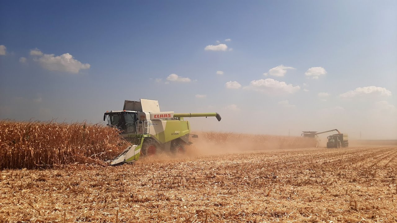 Big Team 4x Claas Lexion 660, 6700 Sound Corn Harvest 2024