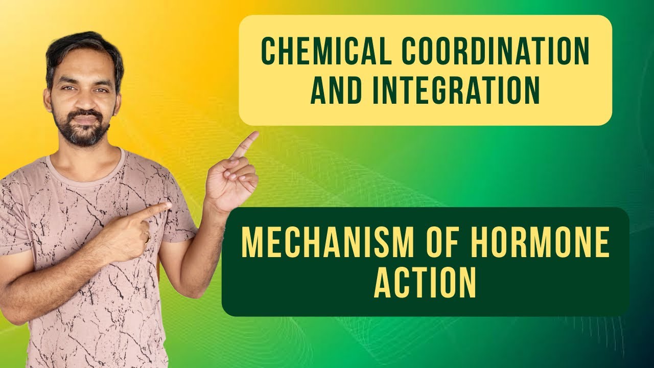 Chemical coordination and integration | Mechanism of Hormone Action