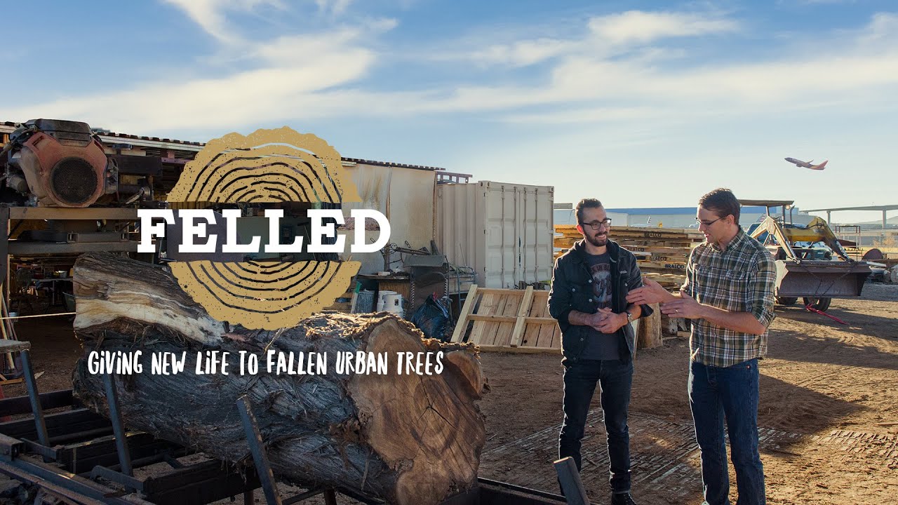 Felled - Giving Life To Fallen Urban Trees - FULL DOCUMENTARY