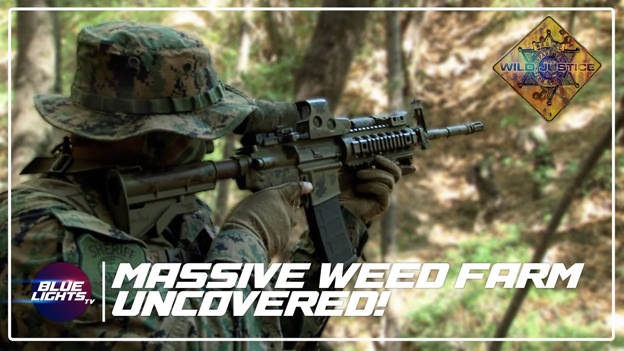 Wardens Uncover MASSIVE Weed Farm! | Wild Justice