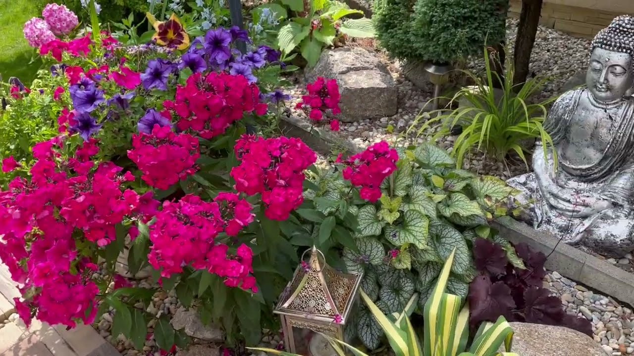 Modern garden of a family house