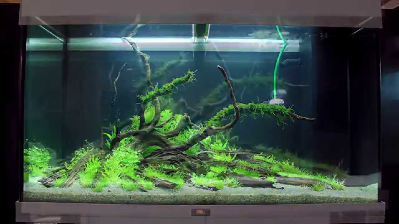 Layout 69 by Aquajardin