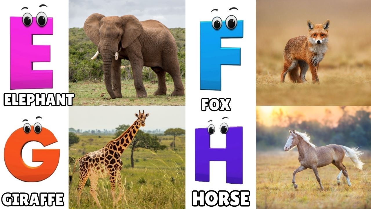 Alphabet Animals Song | Learn the ABC Alphabet Animals Song for Kids | ABC Alphabet Phonics Song