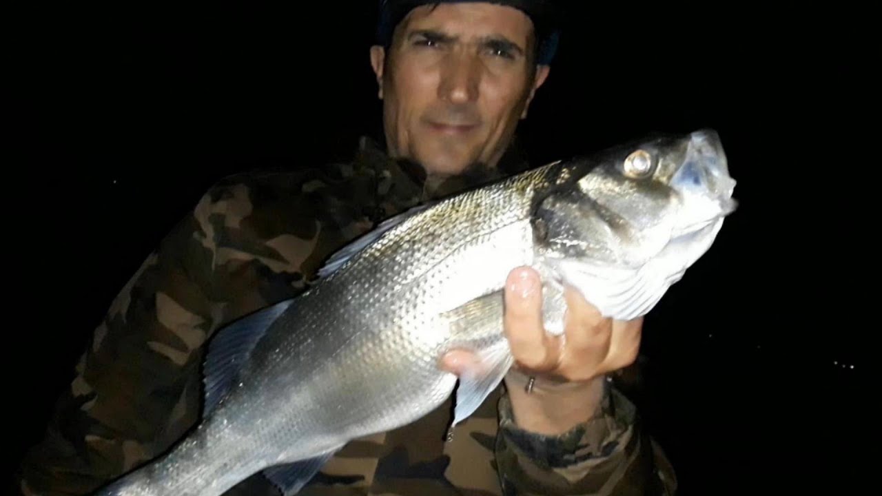 SURFCASTING...Parliamo di Calamenti, Lo SHORT BASSO...