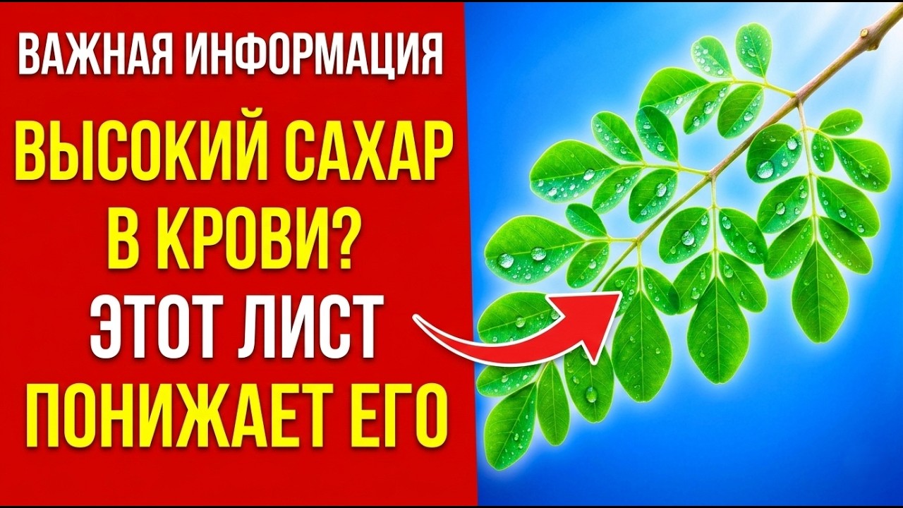 Старше 60 Единственный лист, который снижает уров